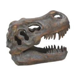 Nemesis Now Tyrannosaurus Rex Skull - Koriste