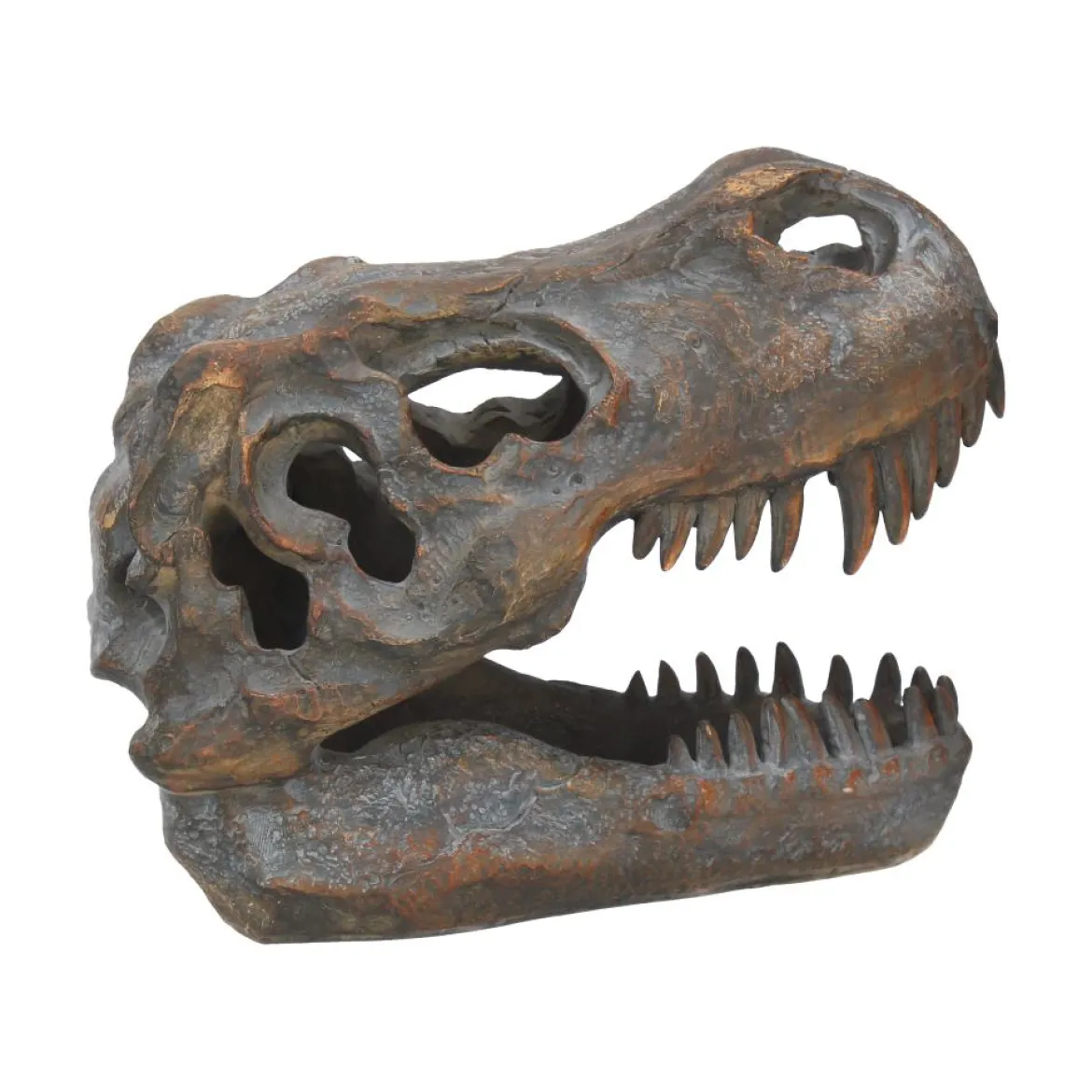 Nemesis Now Tyrannosaurus Rex Skull - Koriste