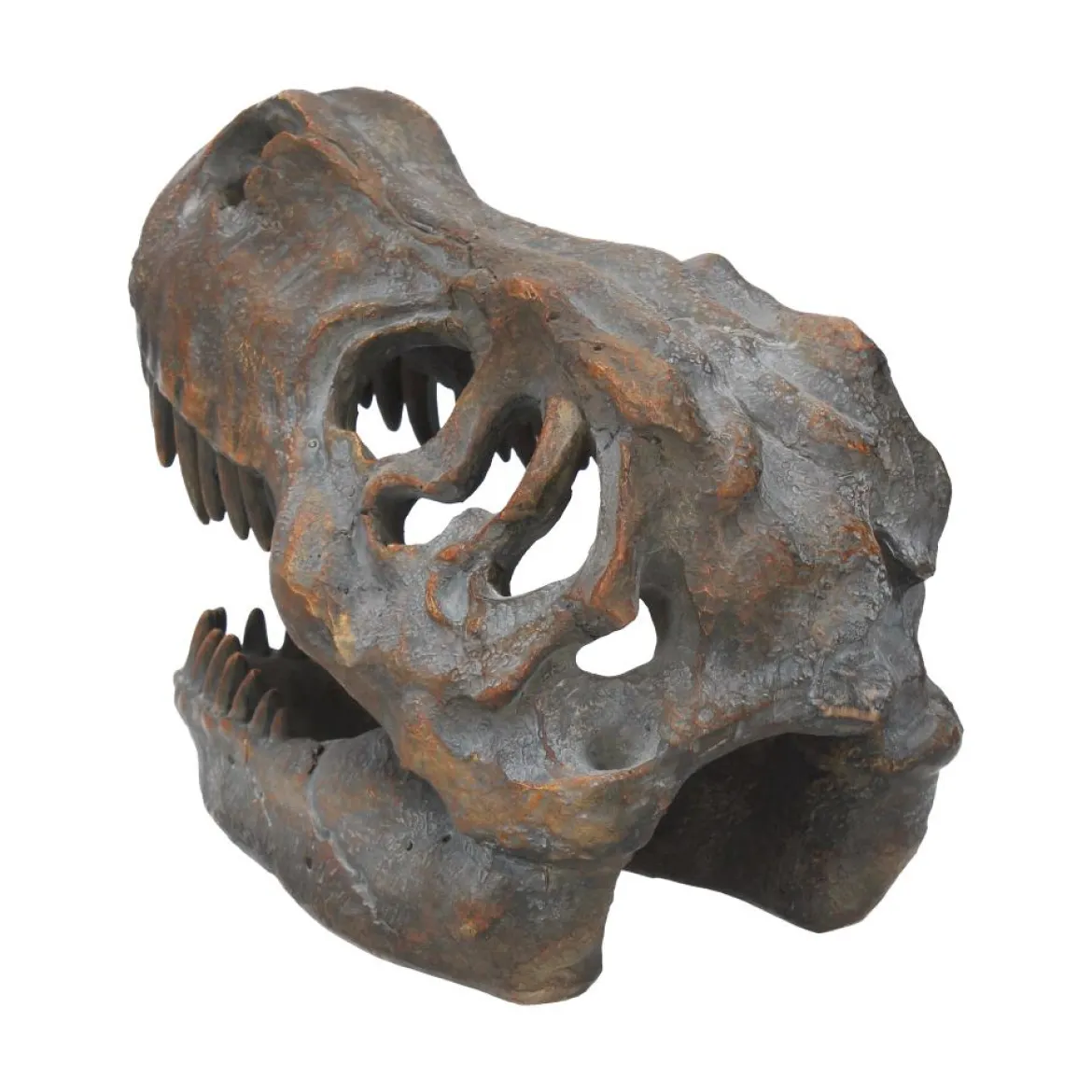 Nemesis Now Tyrannosaurus Rex Skull - Koriste