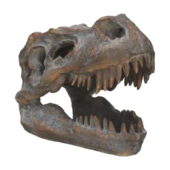 Nemesis Now Tyrannosaurus Rex Skull - Koriste
