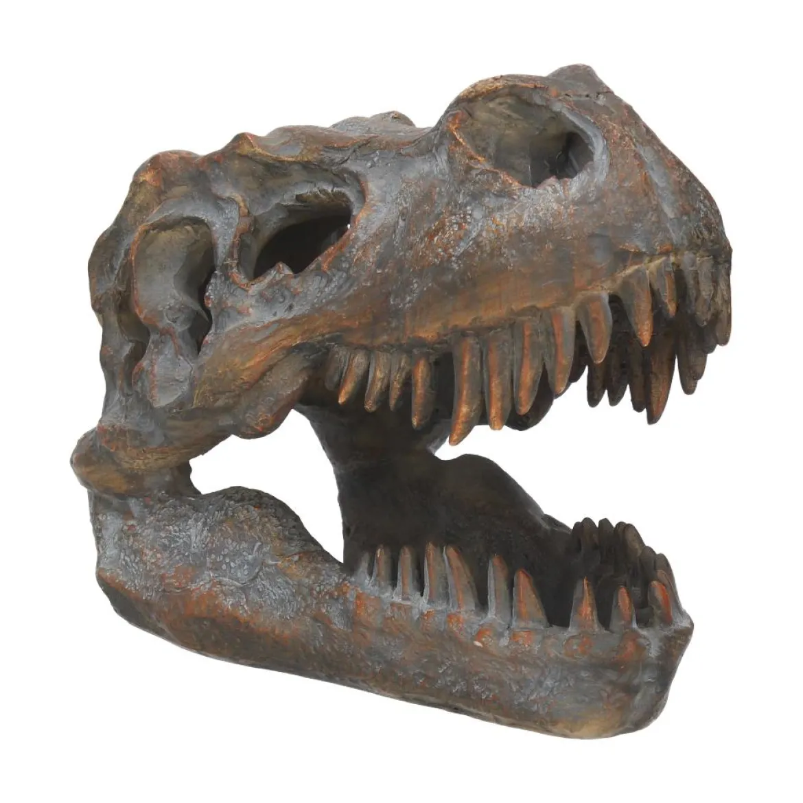 Nemesis Now Tyrannosaurus Rex Skull - Koriste