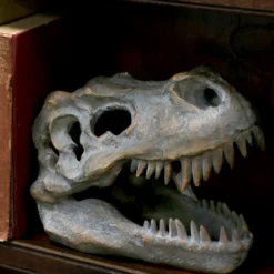Nemesis Now Tyrannosaurus Rex Skull - Koriste