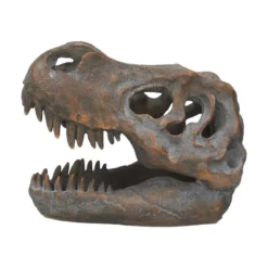 Nemesis Now Tyrannosaurus Rex Skull - Koriste