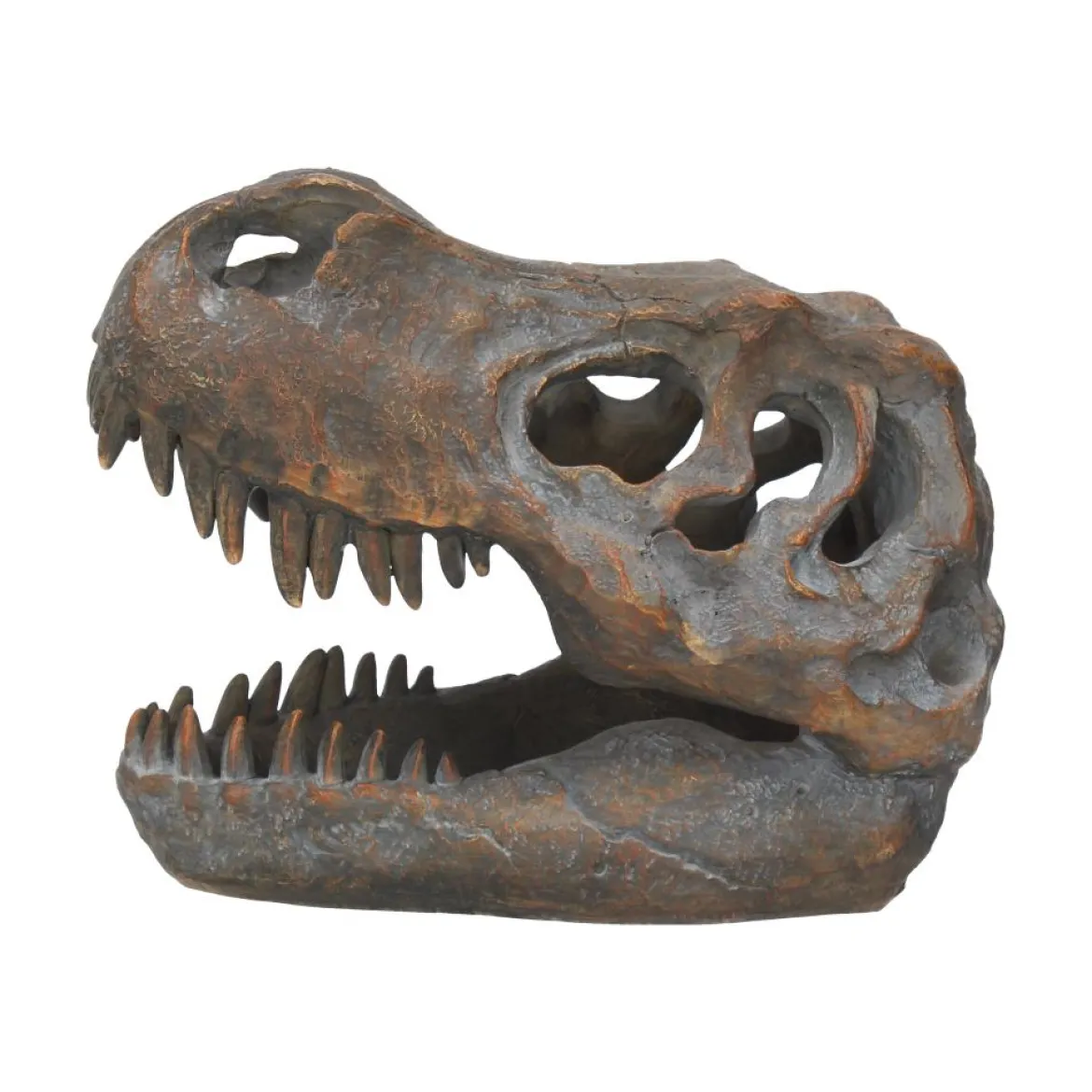 Nemesis Now Tyrannosaurus Rex Skull - Koriste