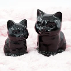 Obsidiaani Kissa