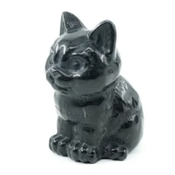Obsidiaani Kissa