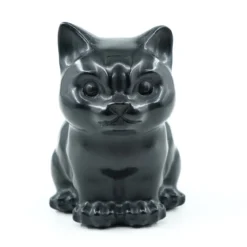 Obsidiaani Kissa