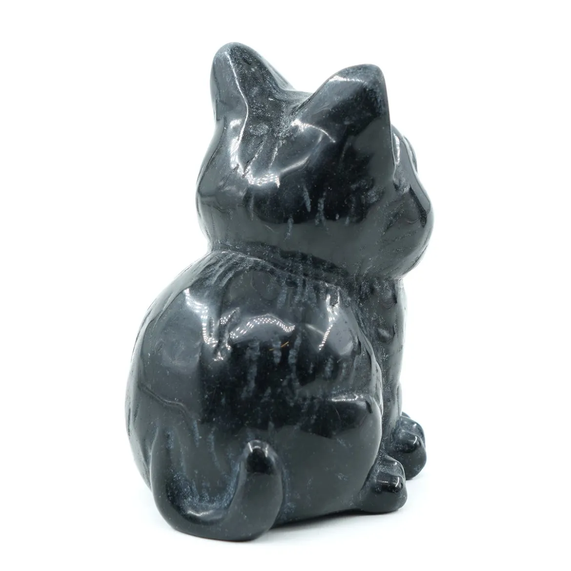 Obsidiaani Kissa