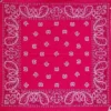Paisley Magenta - Bandana huivi