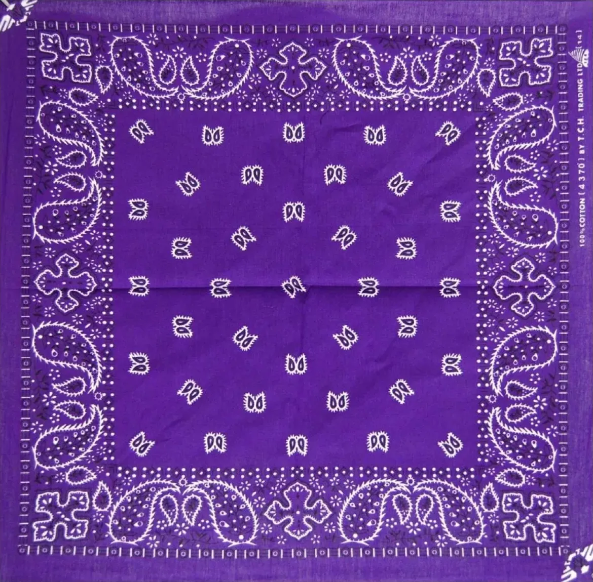 Paisley Violet - XL Bandana huivi