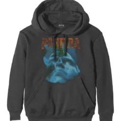 Pantera Far Beyond Driven World Tour - Huppari, grey