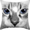 Ragdoll Cat - Koristetyynynpäällinen