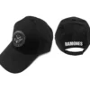 Ramones presidential seal - Lippis