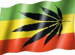 Rasta & Cannabis - Lippu