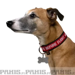RBF Dog-Tag-koiran kaulapanta, musta