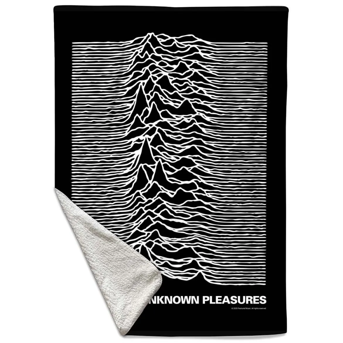 ROCKSAX Joy Division: Unknown Pleasures - Torkkupeitto