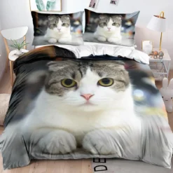 Scottish Fold Cat - Pussilakana + tyynyliina