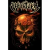 Sepultura: Beneath The Remains - Seinälippu