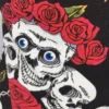 Skulls and roses - Esiliina
