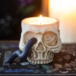 Skullwith Snake - Tuikkupidike
