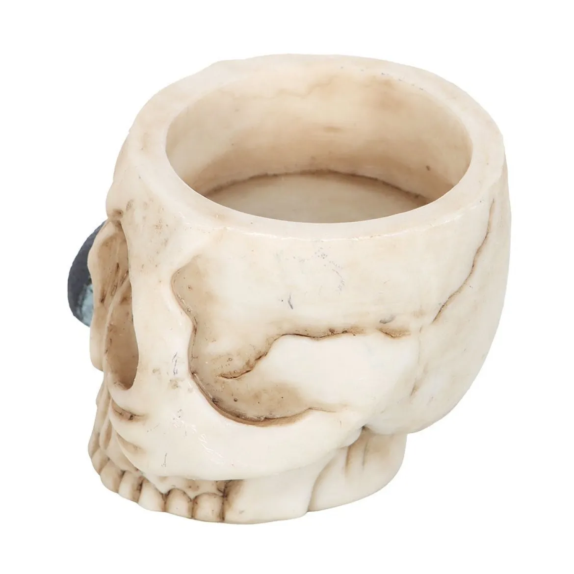 Skullwith Snake - Tuikkupidike