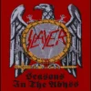 Slayer Seasons In The Abyss - Kangasmerkki