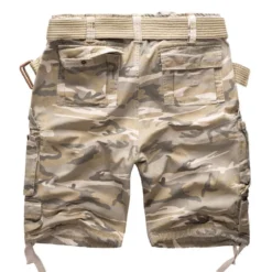 Surplus Division - Shortsit, Desertlight