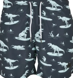 Urban Classics - Uimashortsit, surfing T-rex