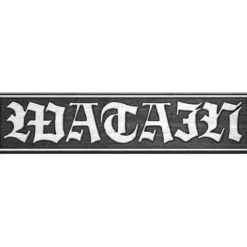 Watain - Pinssi